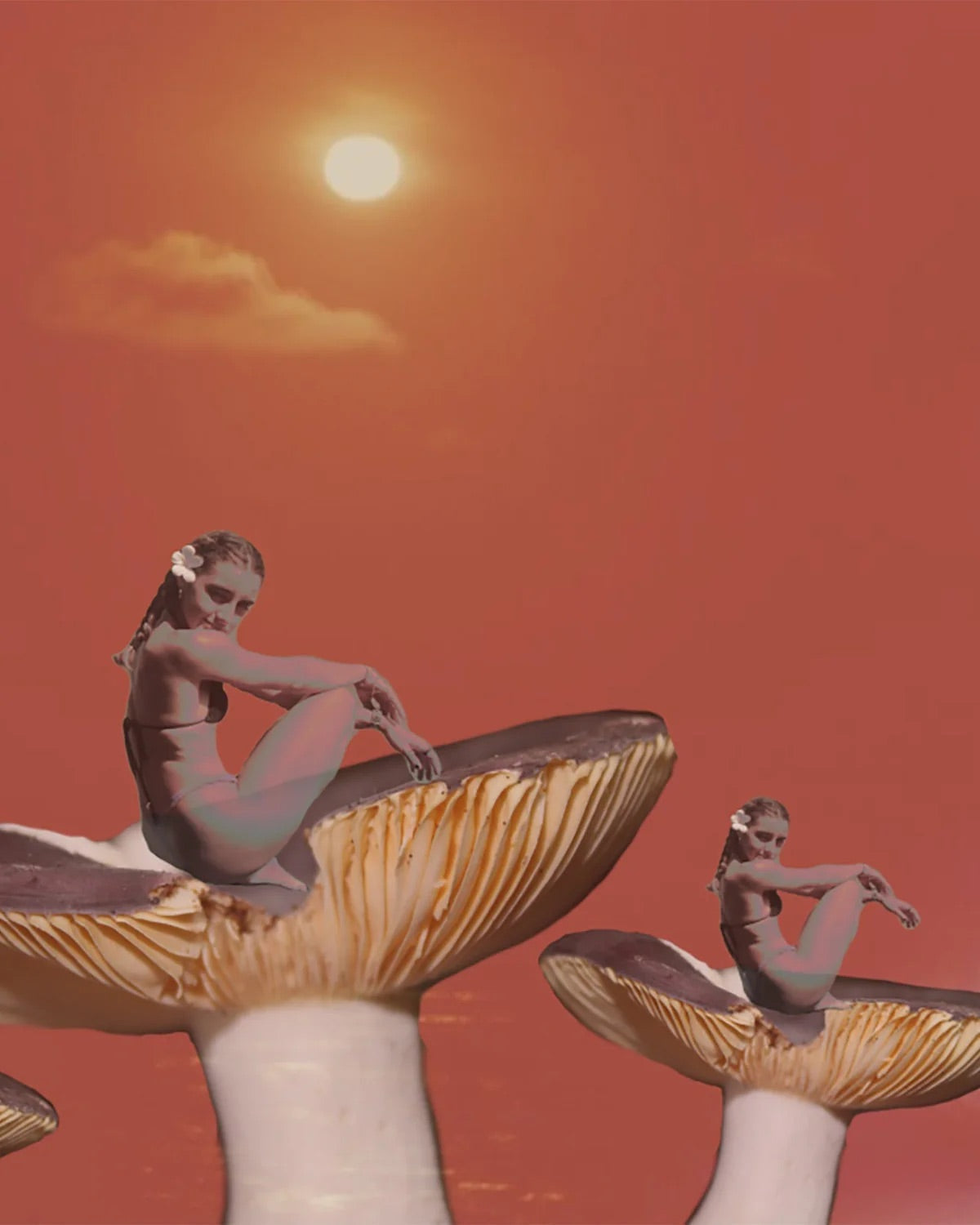 The Science of Microdosing