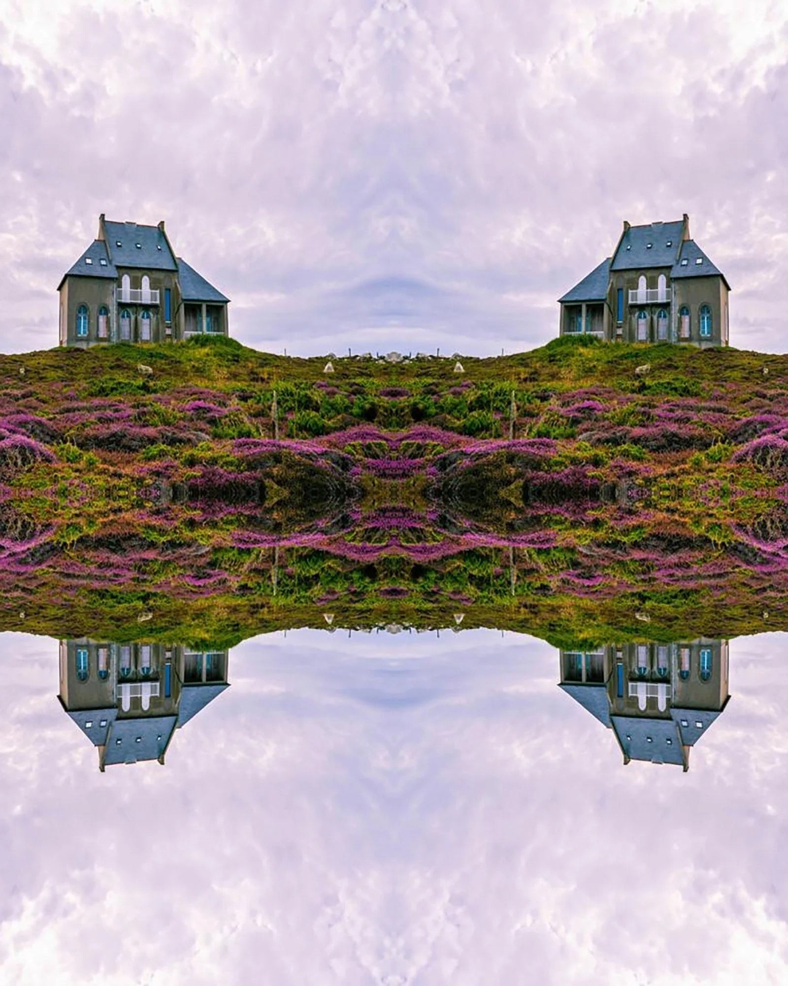 Transforming your inner house: The power of microdosing for healing