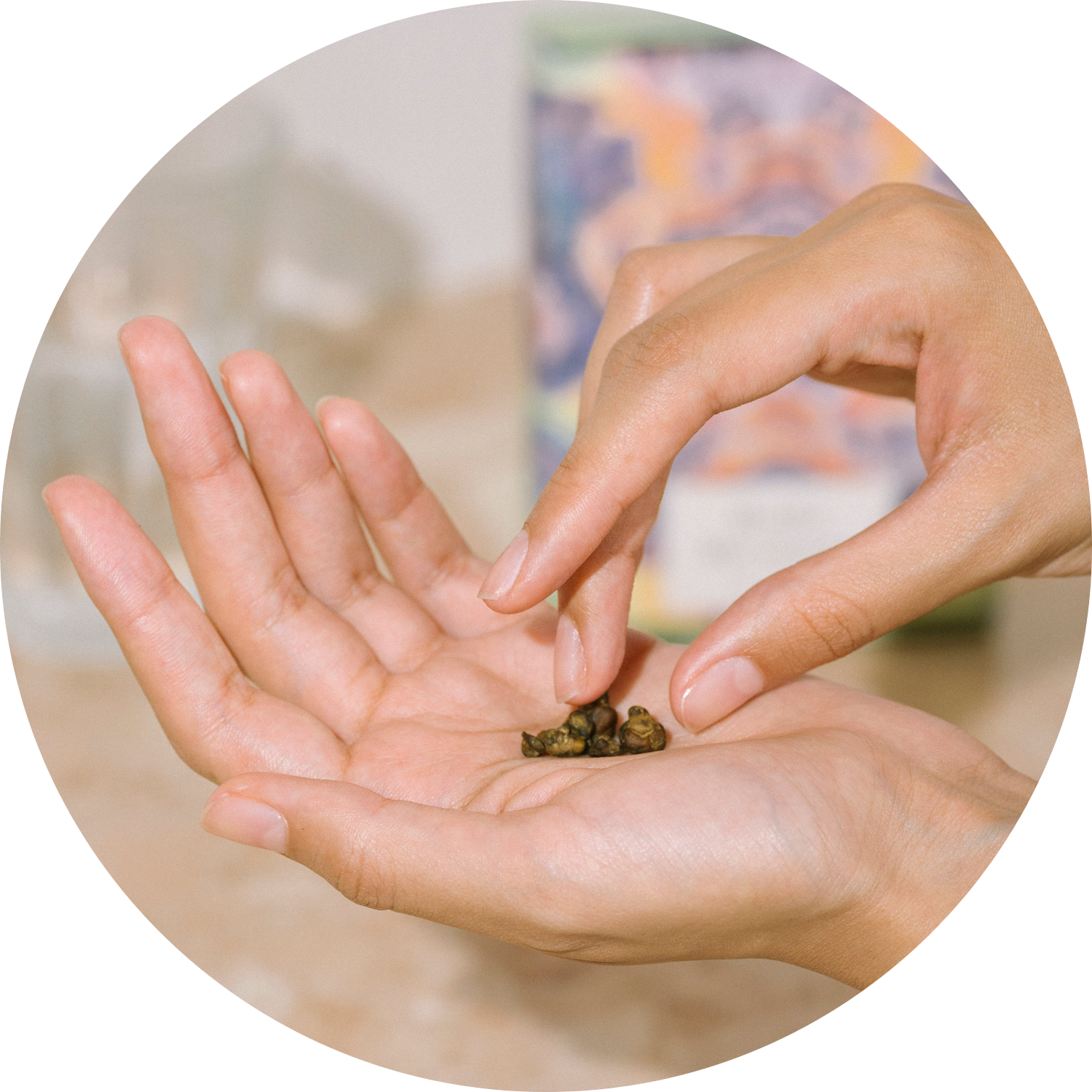 Mindful Microdosing Program