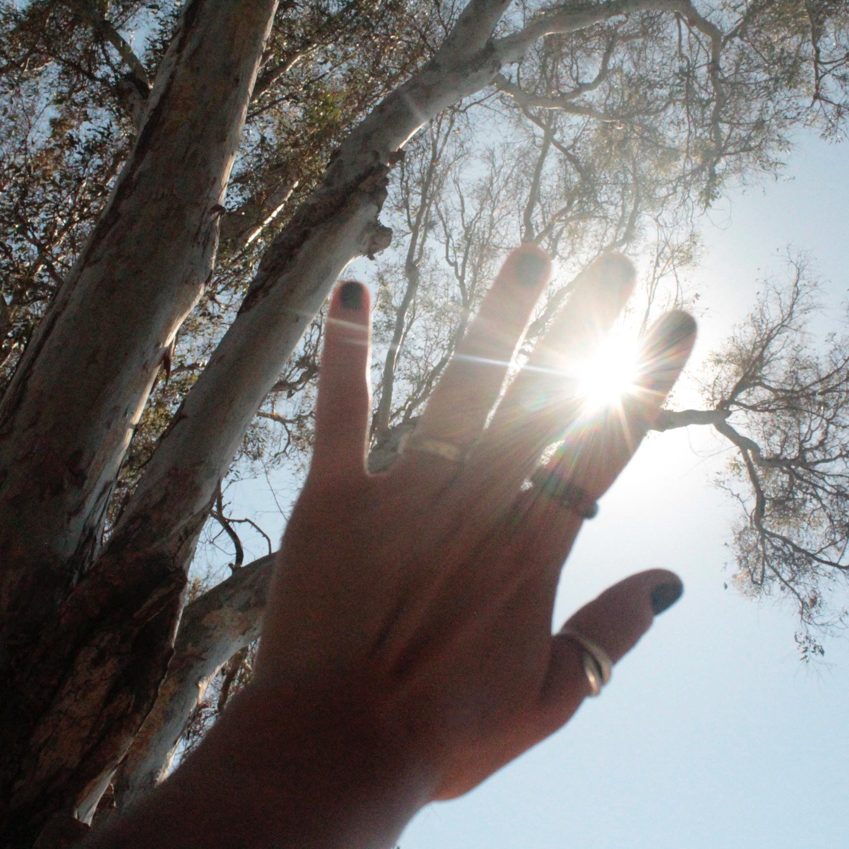 Microdosage Mindful