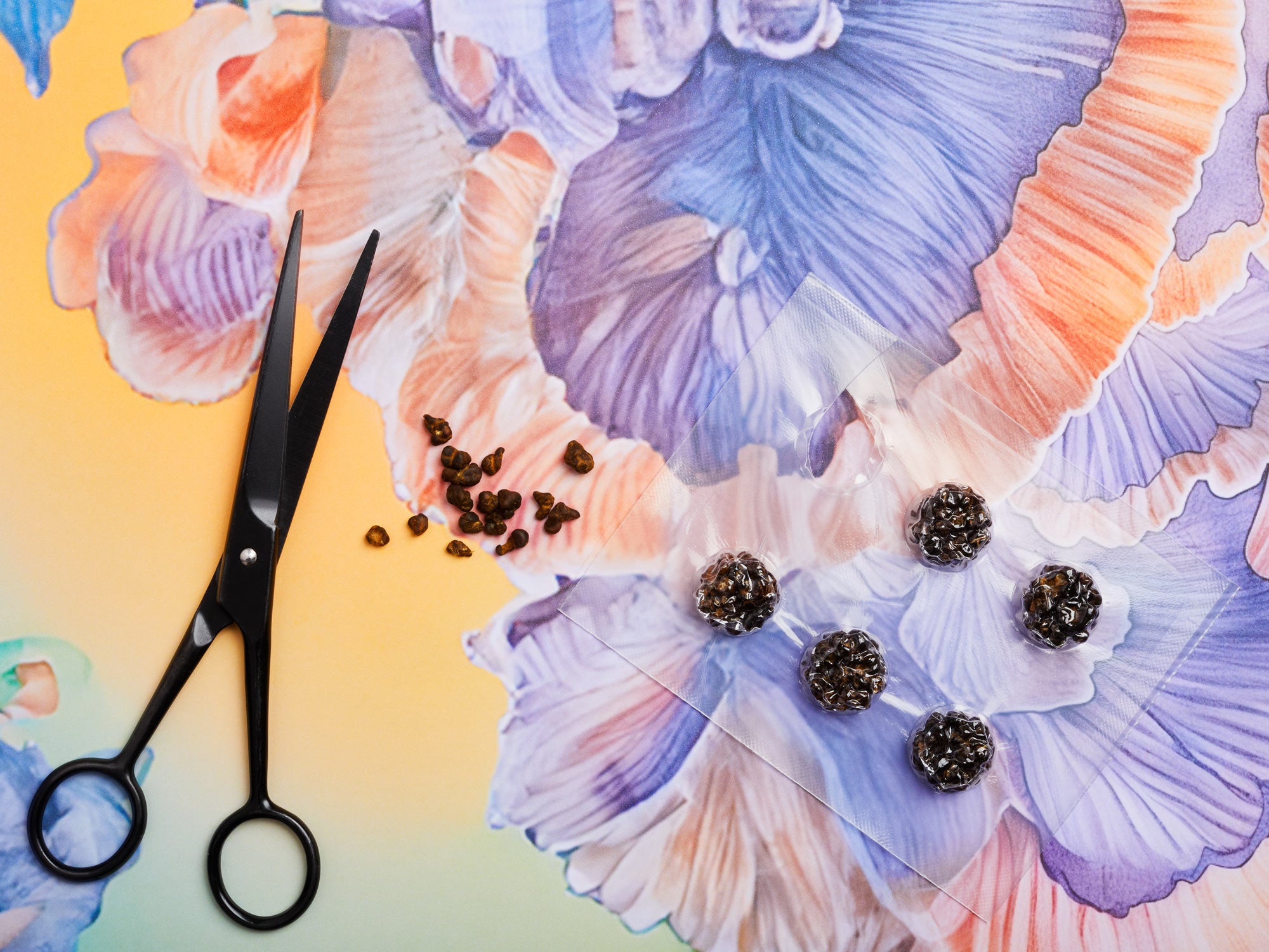 Mindful Microdosing Programma